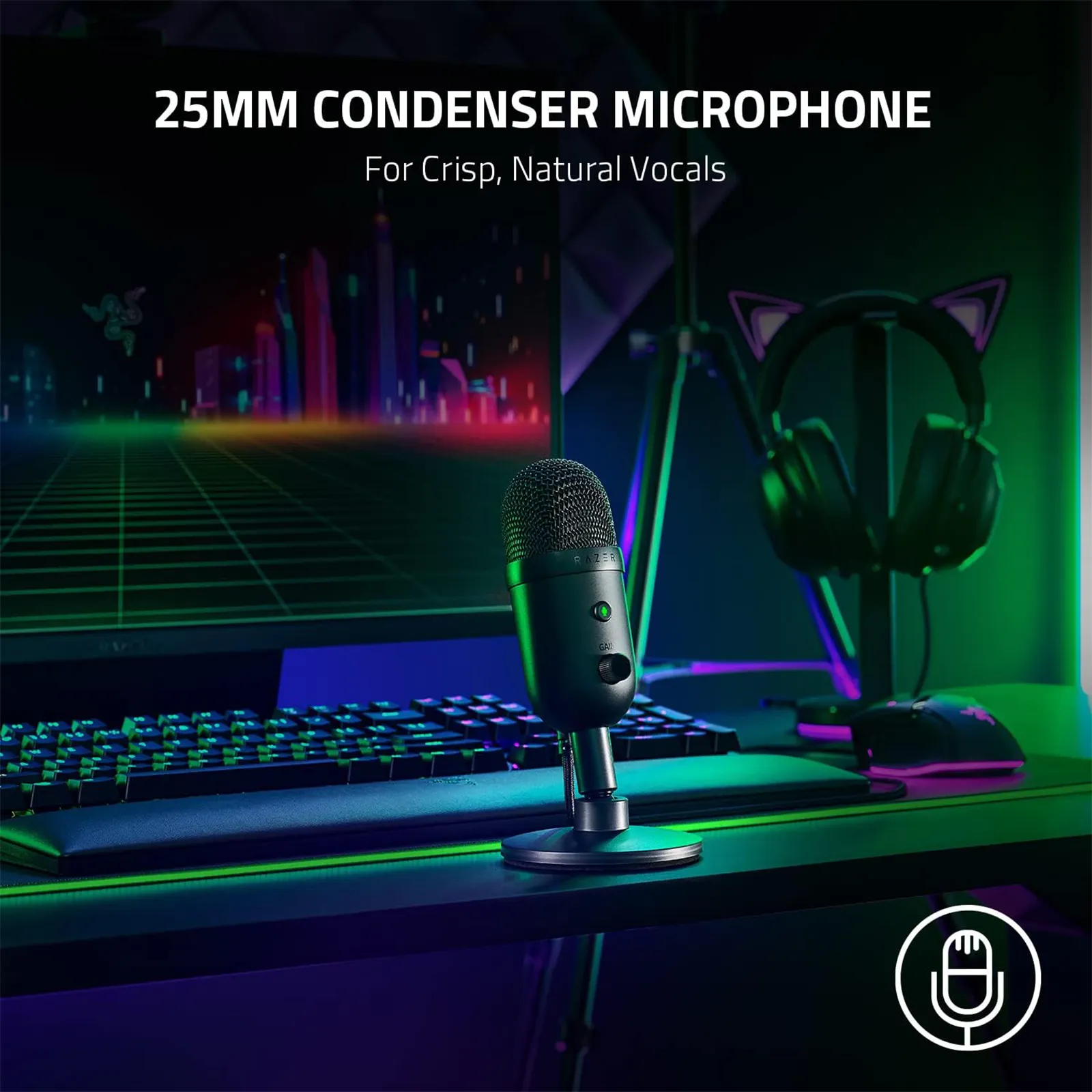 razer-seiren-v2-x-usb-condenser-microphone-big